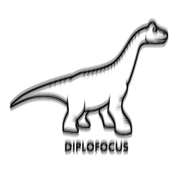 Diplofocus