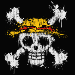 t-shirt One Piece Skull